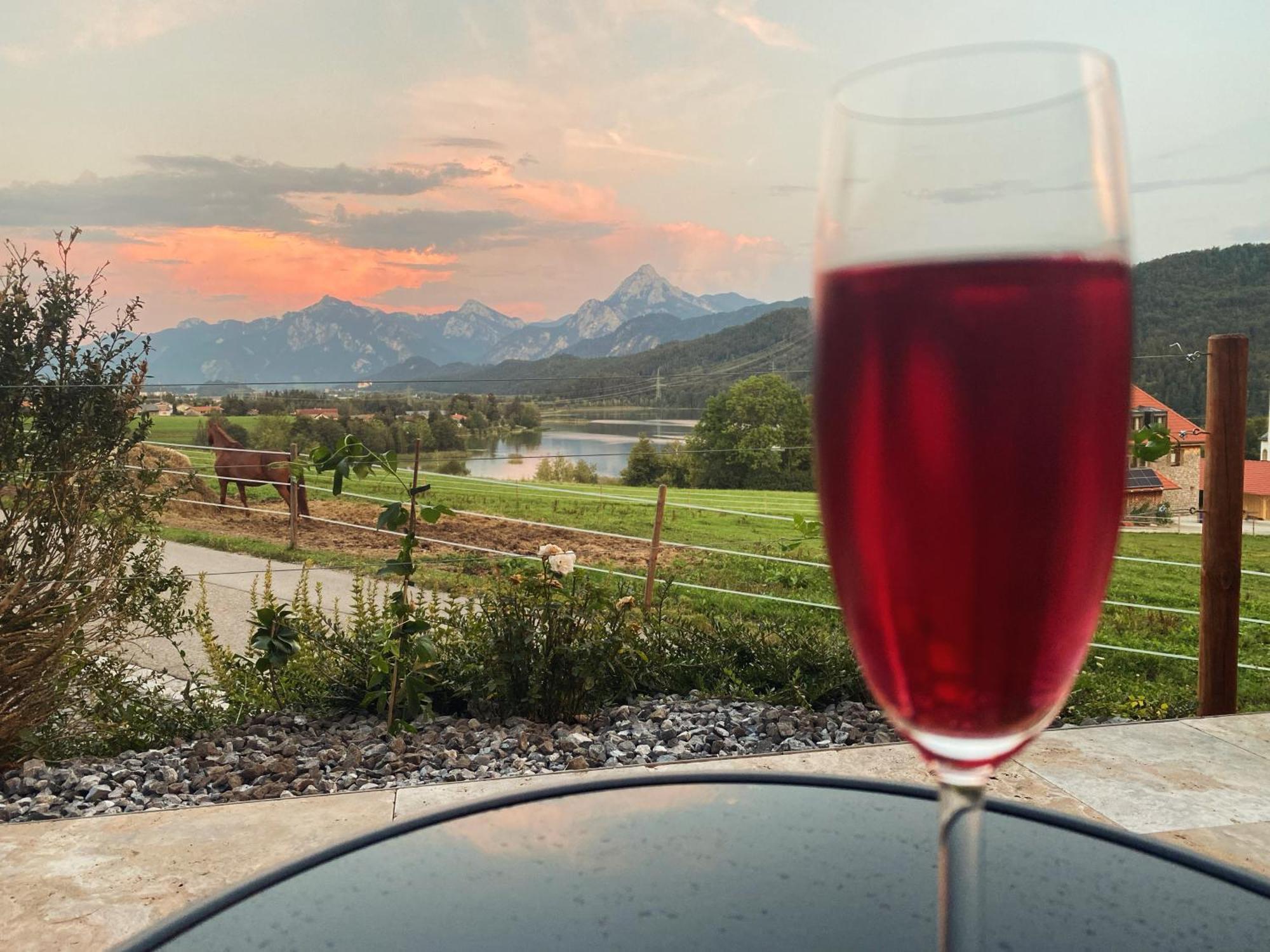 Luxury Mountain Lodge フュッセン エクステリア 写真